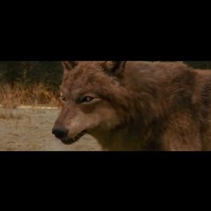 Meet your Posher, Zarah